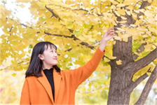 苏州园林叶圣陶（苏州园林的魅力与独特之处）